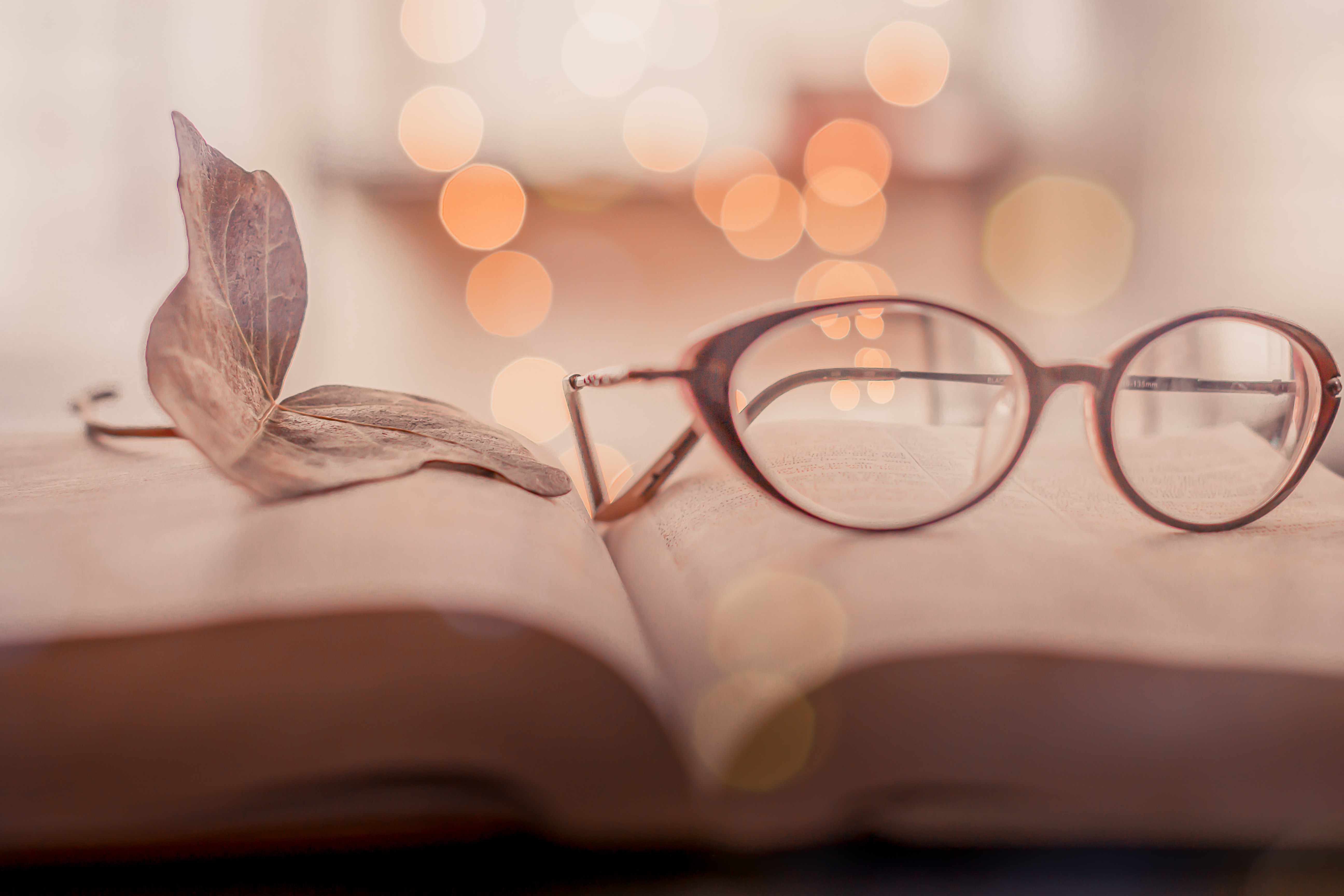 E.L.S.A: Engaging Learning, Successful Ageing - Geragogy Innerworks